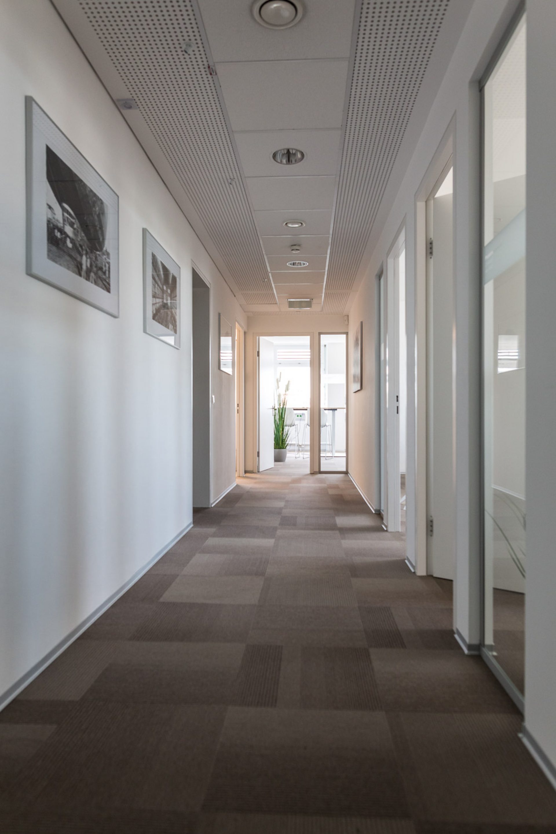 Ein langer, moderner Flur mit beige kariertem Teppichboden, weißen Wänden, Bilderrahmen an der Wand und einer Pflanze am Ende.