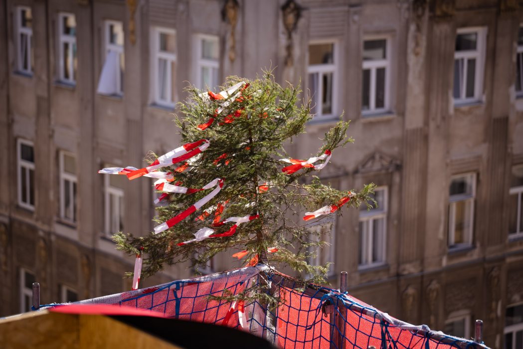 Ein mit rot-weißen Bändern geschmückter Baum steht auf einem Baugerüst vor einem alten, mehrstöckigen Gebäude mit mehreren Fenstern.