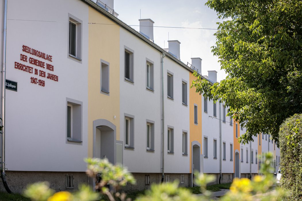 Reihenhäuser mit pastellfarbenen Fassaden, Aufschrift zu Baujahren 1947-1950, ein Baum rechts im Bild.